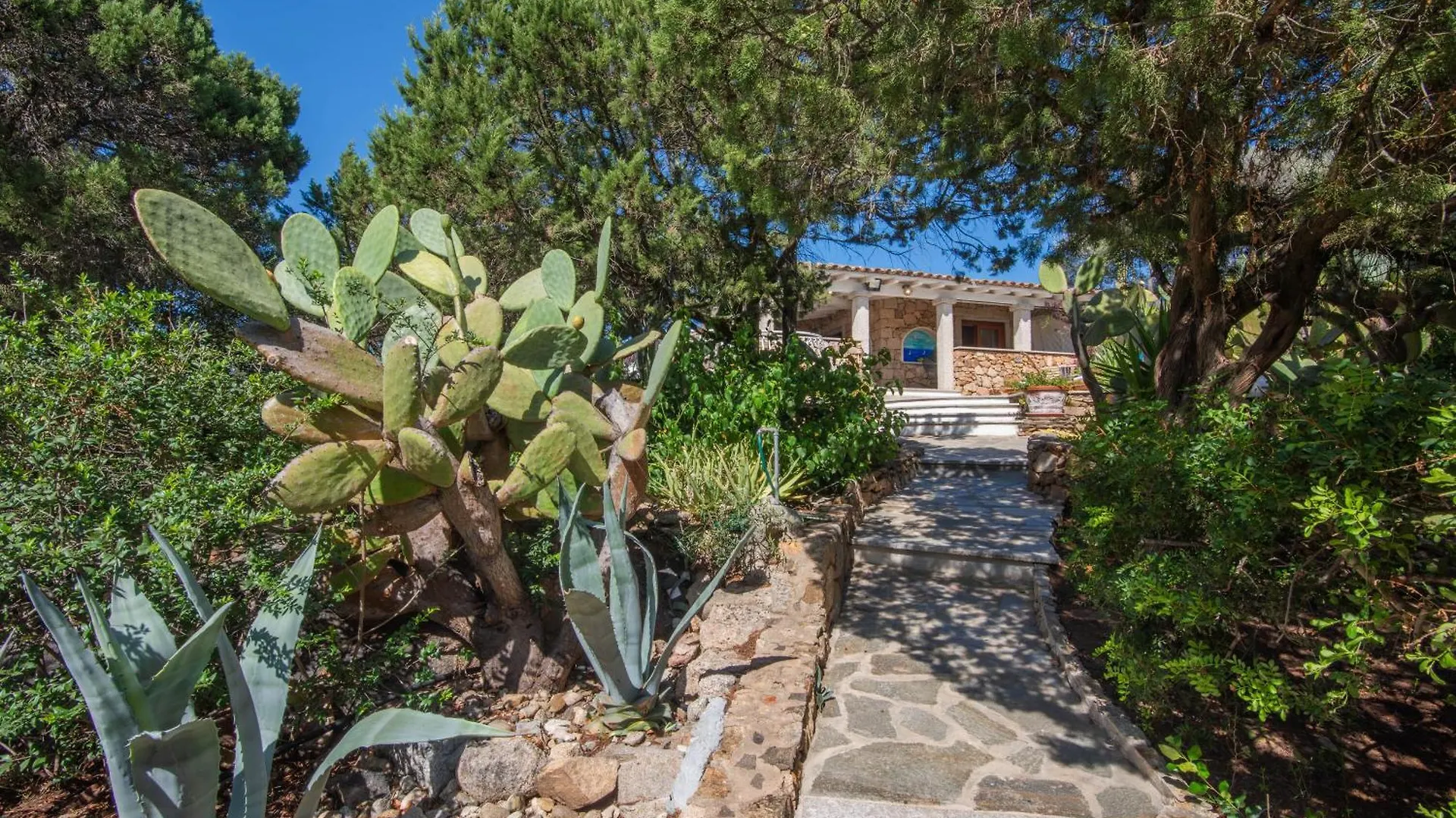 Villa Maestrale 100M From Beach - Happy Rentals Porto Rotondo